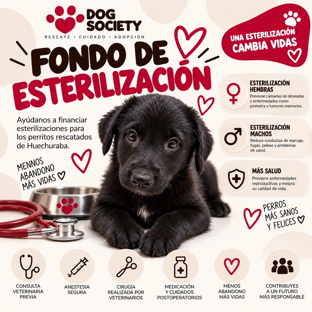 Fondo de Esterilización