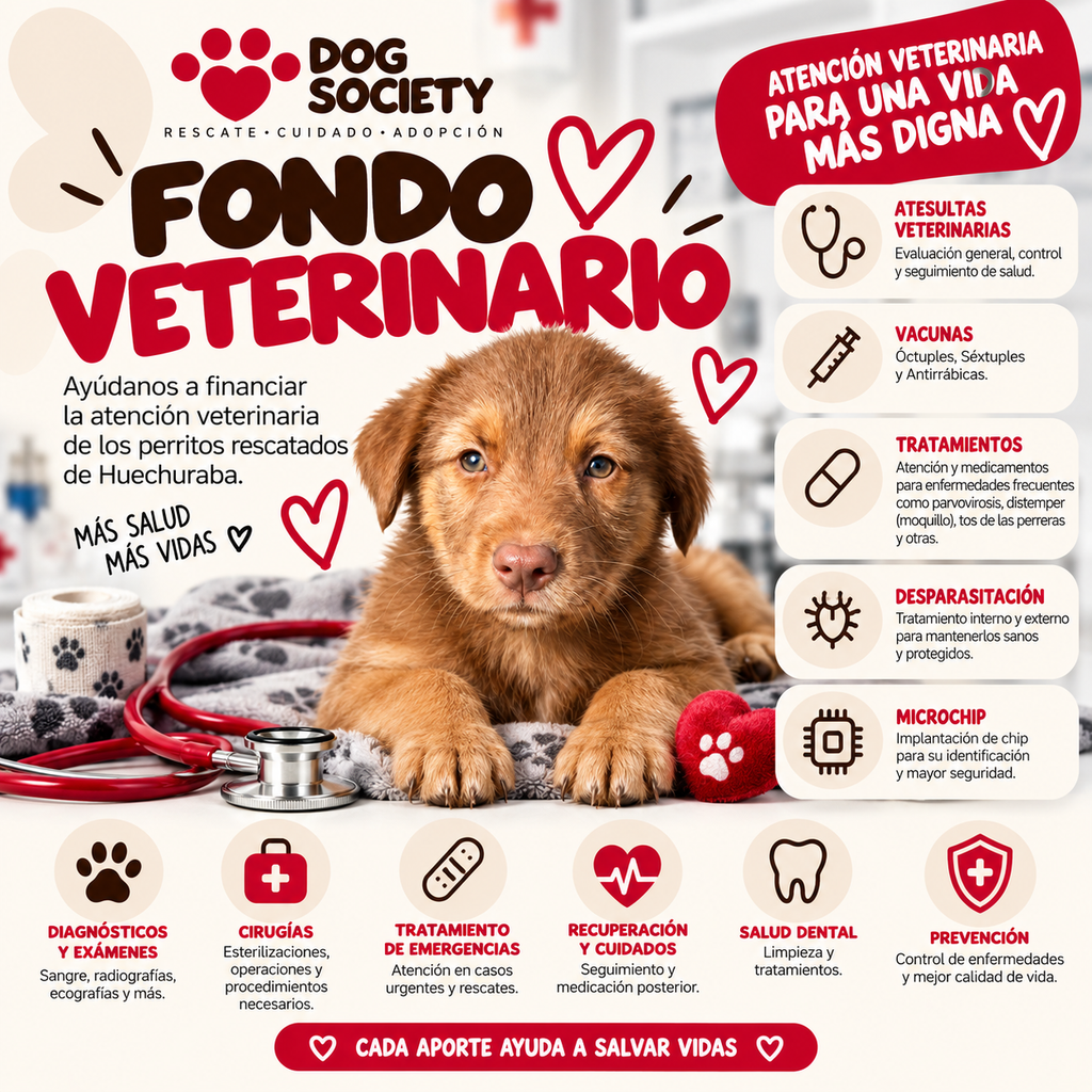 Fondo Veterinario