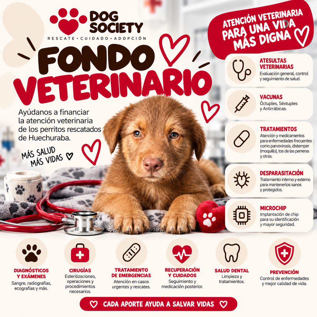 Fondo Veterinario